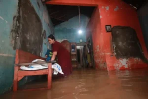 Tanggul Sungai Ngasem di Clering Jepara Jebol, Pemukiman-Sawah Warga Terendam