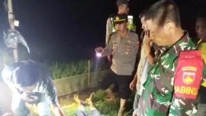 Kembali Terulang, Petani di Kabupaten Blora Tewas Tersengat Listrik Jebakan Tikus