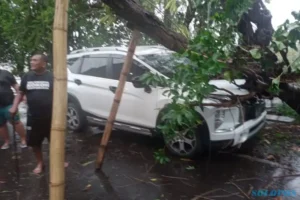 Breaking News! Hujan Angin Tumbangkan Pohon di Sejumlah Wilayah Sukoharjo