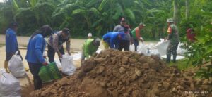 Antisipasi Banjir, Bhabinkamtibmas Desa Angkatan Lor Bersama Warga Kerja Bakti Pembuatan Tanggul Sungai