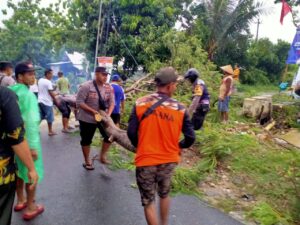 Respon Cepat Polisi, Evakuasi Pohon Tumbang Melintang di Jalan Sukolilo – Prawoto Pati