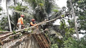 Tanah Longsor dan Angin Kencang Landa Kebumen dalam Dua Hari