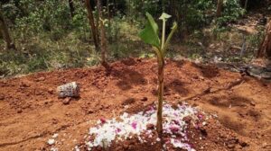 Hasil Otopsi Jasad Nenek 70 Tahun yang Makamnya Dibongkar di Klaten, Akibat Kekerasan Benda tumpul