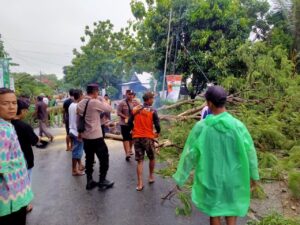 Respon Cepat Polresta Pati, Evakuasi Pohon Tumbang Melintang di Jalan Sukolilo – Prawoto Pati