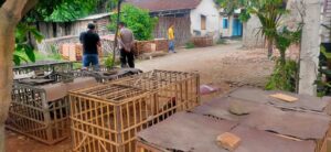 Diduga Jadi Lokasi Sabung Ayam di Trangkil, Polsek Wedarijaksa Datangi Lokasi