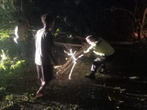 Bersama Warga, Anggota Polsek Tulis Gotong-Royong Bersihkan Pohon Tumbang di Jalan