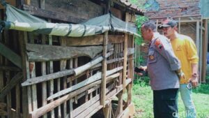 Geger Maling Sembelih Kambing di Klaten, Begini Kesaksian Pemilik