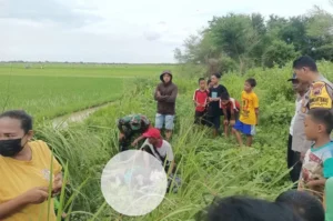 Semarang Geger, Penemuan Mayat Perempuan Tertelungkup di Saluran Irigasi Sawah