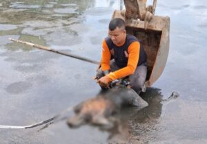 Pria Berkaos Bawaslu Ditemukan Tewas di IPLT Genuk Semarang