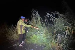 Kronologi Kecelakaan Mobil Bawa Lima Penumpang Terperosok ke Jurang di Dieng Wonosobo