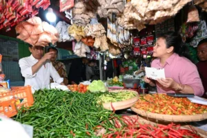 Kunjungi Pasar Wonogiri, Presiden Jokowi tinjau stok dan harga pangan