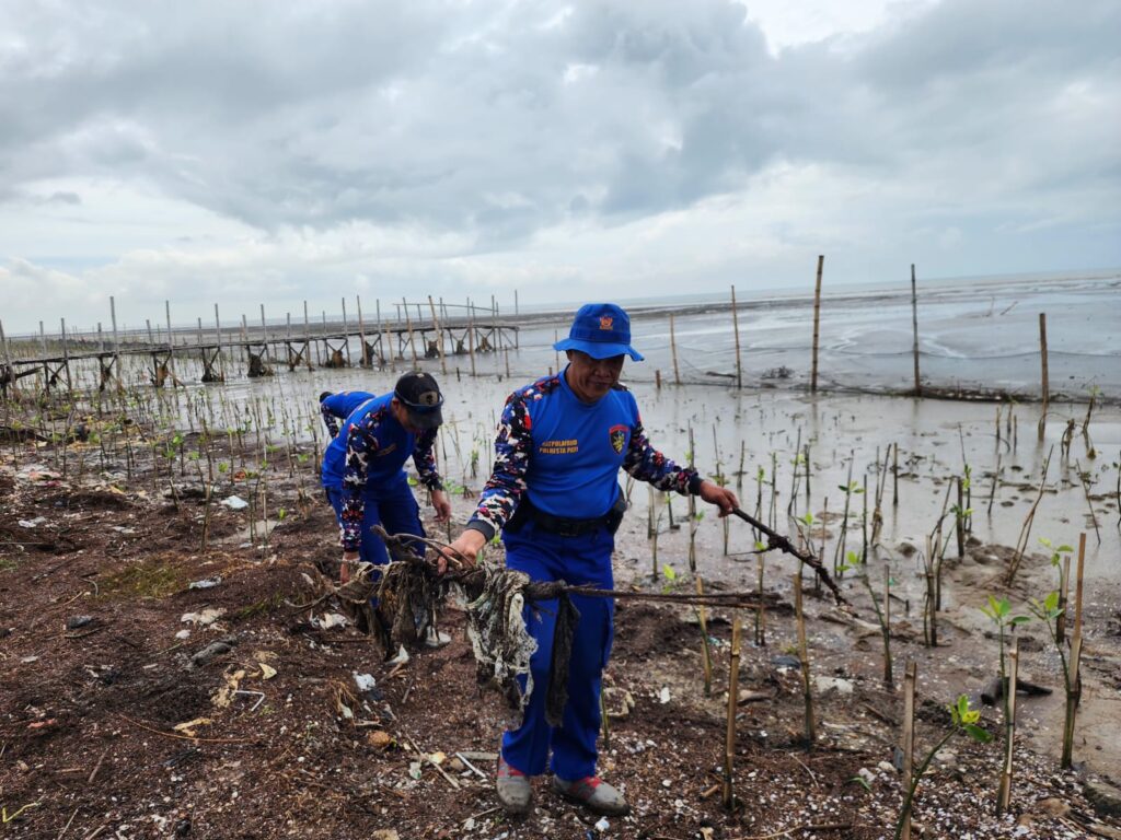 Pantai Lestari Arnavat, Satpolairud Polresta Pati Lakukan Perawatan Mangrove di Pesisir Pantai Bulumanis