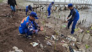 Kegiatan Perawatan dan Pelestarian Tanaman Mangrove oleh Satpolairud Polresta Pati