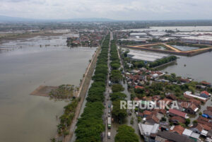 Banjir di Kabupaten Demak Meluas, Sebanyak 44 Desa di 8 Kecamatan Terdampak