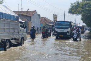 Delapan Desa di Brebes Terendam Banjir Akibat Sungai Cisanggarung Meluap