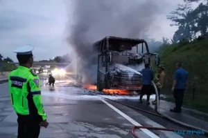 Ini Kata Investigator Senior KNKT soal Bus Rosalia Indah Terbakar di Tol Boyolali