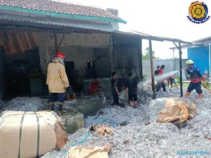 Gara-gara Petasan, Gudang Kertas Milik Warga Miri Sragen Terbakar