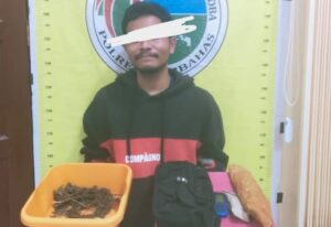 Sapu Bersih Narkoba, Polres Humbahas Tangkap Pelaku dari Simarpinasa