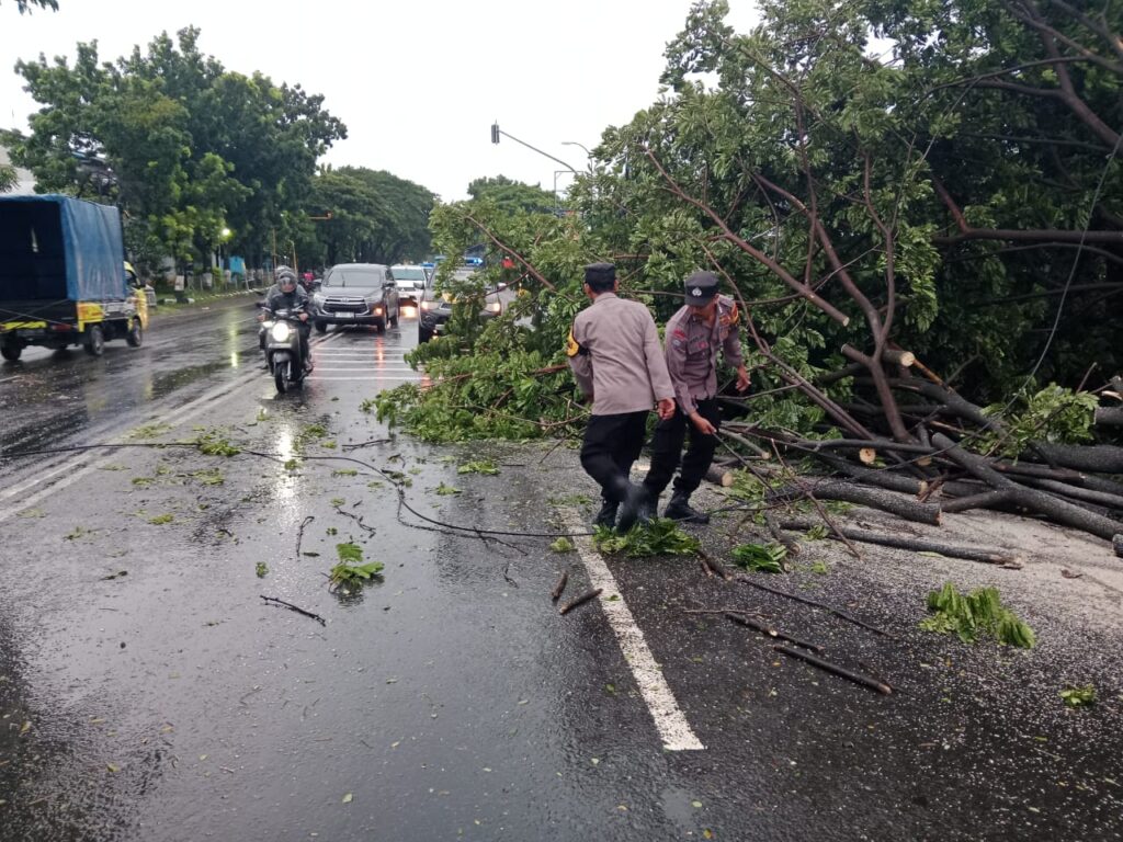 Kapolsek Margorejo Ingatkan Warga: Hujan Deras dan Angin, Potensi Pohon Tumbang Tinggi