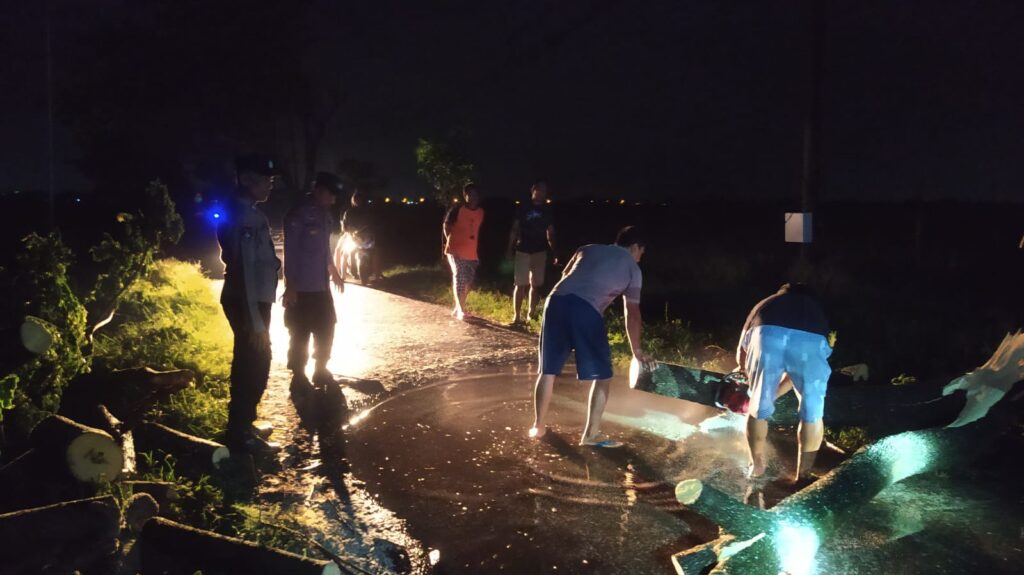 Polsek Margorejo dan Relawan BPBD Pati Lakukan Pemotongan Pohon Tumbang, Lalulintas Kembali Lancar