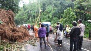 Akibat Tebing 15 Meter di Kaliangkrik Longsor, Jalan Magelang-Wonosobo Sempat Ditutup