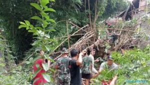 Kandang Kambing Rusak Akibat Tanah Pekarangan Warga Ngawen Sragen Longsor