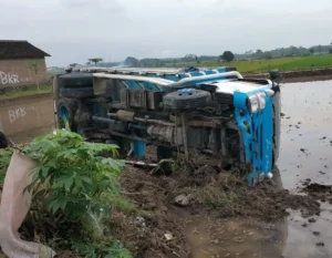 Hendak Hindari Tabrakan, Truk Angkut 10 Ton Garam Terguling ke Sawah di Trayu Boyolali