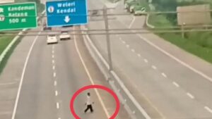 Pria Pejalan Kaki Nyeberang Tol Batang-Semarang Aksinya Viral