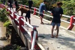 Viral Warga Rusak Jembatan di Demak untuk Lewat Truk Sound Takbiran, 9 Orang Ditangkap