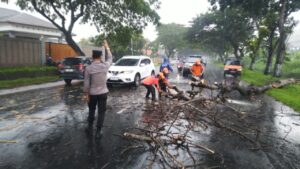 Kapolresta Pati: Tindakan Sigap Polsek Pati Cegah Kemacetan Akibat Pohon Tumbang