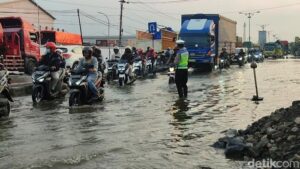 Pantura Sayung Diterjang Banjir Rob, Pemkab Demak Koordinasi Pusat-Siapkan Jalur Alternatif