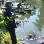 Awalnya Dikira Boneka, Anak Kecil Temukan Mayat di Sungai Cilacap