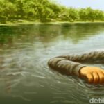 Pria Tewas di Sungai Mijen Semarang Diduga Tenggelam Usai Dikeroyok