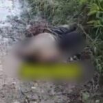 Heboh Warga Demak Ditemukan Pingsan Terikat di Pinggir Kali Babon Semarang, Polisi: Masih Hidup