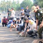 Sebanyak 14 Ekor Penyu Hijau Dilepasliarkan Polres Jembrana