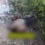 Kasus Pria Berlumpur Tergeletak di Tepi Sungai Babon Semarang, Korban Masih Koma
