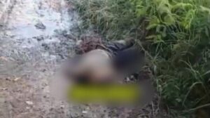 Pria Berlumpur Tergeletak di Tepi Sungai Babon Semarang, Korban Masih Koma