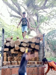 Angkut Kayu Jati Ilegal, Petugas Stop 2 Truk di Jalan Pesanggaran Banyuwangi