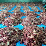 3 Fakta Daging Kurban Menggunung di Banjarnegara, Ada 200 Sapi-468 Kambing