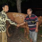 Penyerahan Hewan Qurban ke Ponpes Al Anwar IV Desa Kalipang Rembang