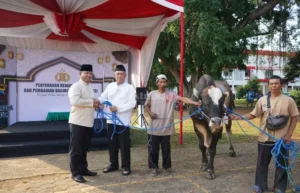 Jajaran Polda Jateng Sembelih Ratusan Hewan Kurban