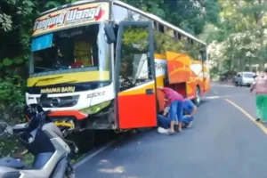 Kecelakaan Tunggal Bus Harapan Baru di Jalur Gumitir Banyuwangi, Seperti Ini Kondisinya