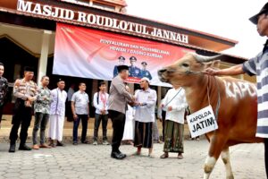 Kapolda Jatim Kurban 10 Sapi dan 17 Kambing untuk Masyarakat Banyuwangi