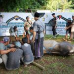 Polda Jateng Sembelih 176 Sapi dan 215 Kambing, Kapolda Jawa Tengah Sampaikan Teladan Nabi Ibrahim