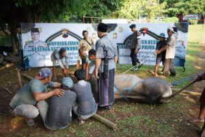 Lebaran Idul Adha 2024, Satker Mapolda Jateng Bagikan 2.030 Paket Daging Korban ke Masyarakat