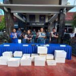 Diciduk di Cilacap, Upaya Penyelundupan Benih Lobster Rp 1,6 M Digagalkan
