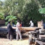 Pengolahan Kayu Jati Ilegal Digerebek Petugas Gabungan di Banyuwangi