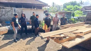 Petugas Gabungan Gerebek Pengolahan Kayu Jati Ilegal di Banyuwangi