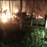 Cafe Paglak Petung di Banyuwangi Terbakar, Korsleting Listrik Diduga Jadi Penyebab