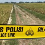 Warga Dikejutkan dengan Ditemukannya Mayat Pria Tanpa Identitas di Sawah Banjarnegara